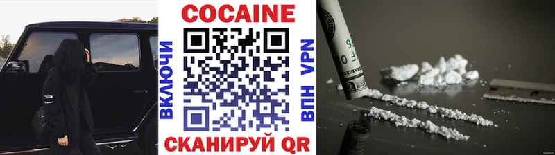 Cocaine FishScale  Купить где  Новая Ладога 
