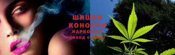 мдпв Елизово