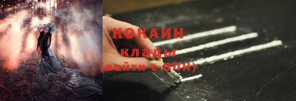 мдпв Елизово