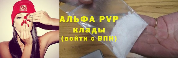 твердый Ельня