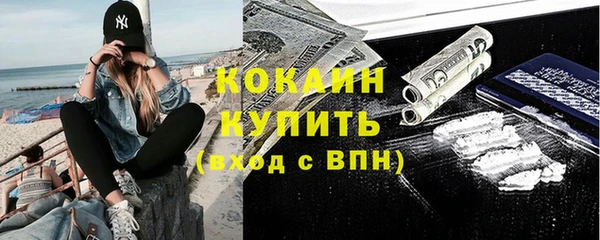 мдпв Елизово
