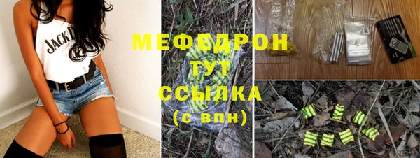 мдпв Елизово