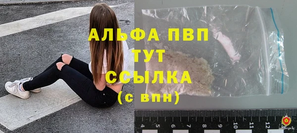 твердый Ельня