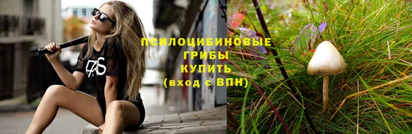 твердый Ельня