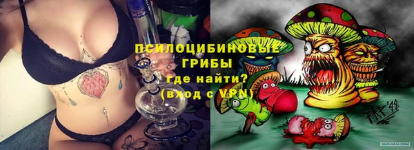 твердый Ельня