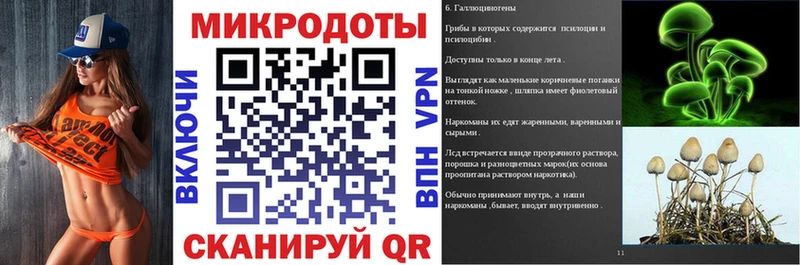 Псилоцибиновые грибы Psilocybe  Купить где  Новая Ладога 